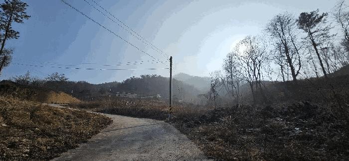 사진 03