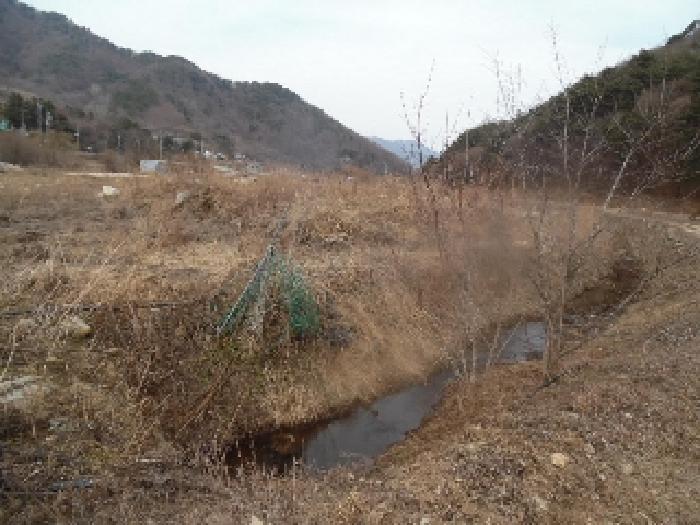 사진 08