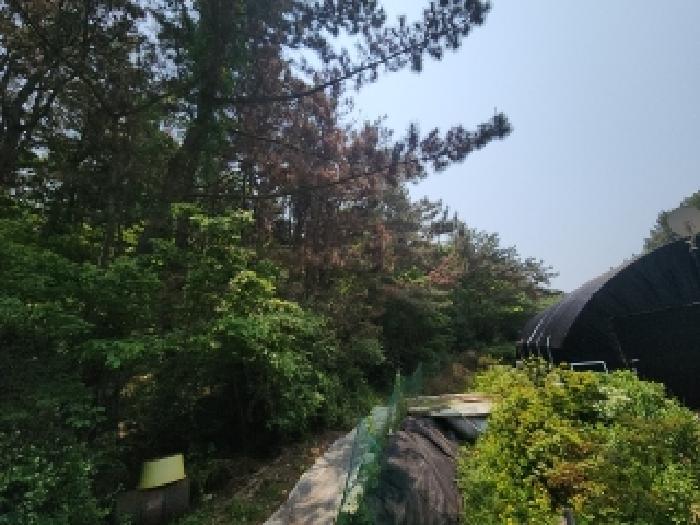 사진 02