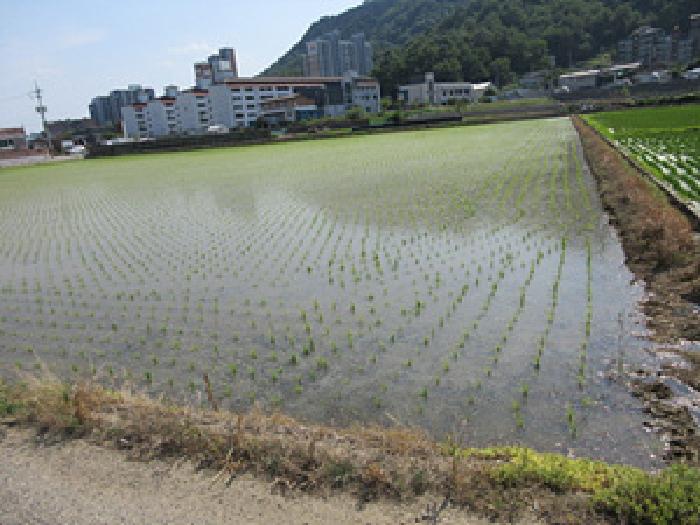 사진 01