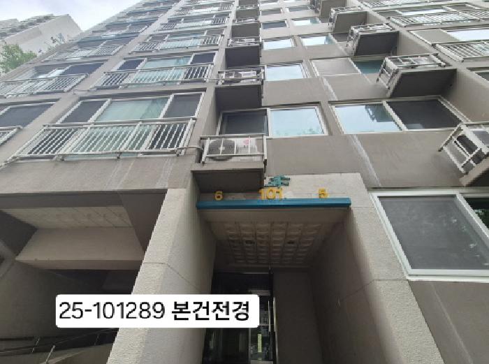 사진 06