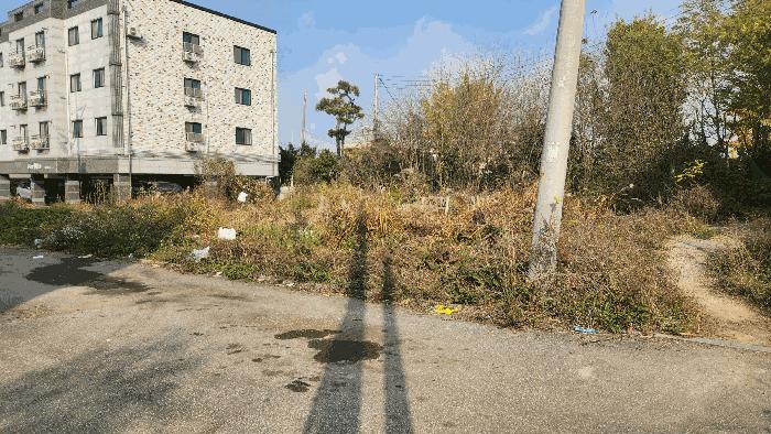 사진 08