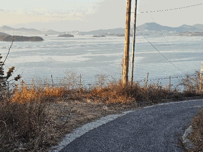 사진 01