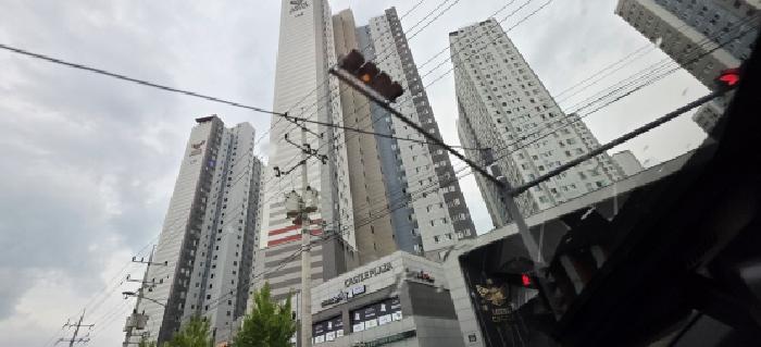 사진 03