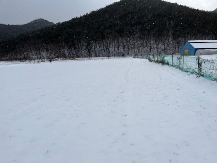 사진 07