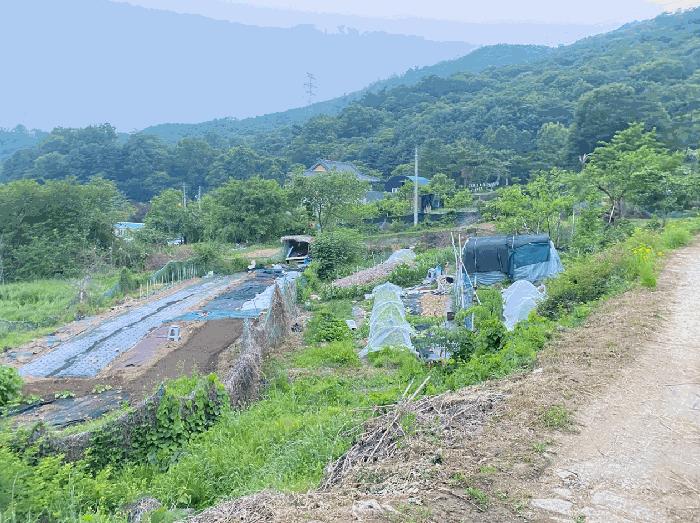 2025타경1693 대표 사진