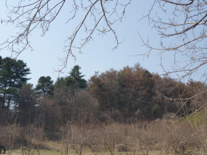사진 04