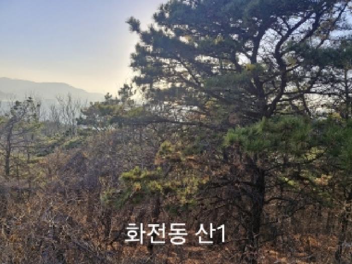 사진 05