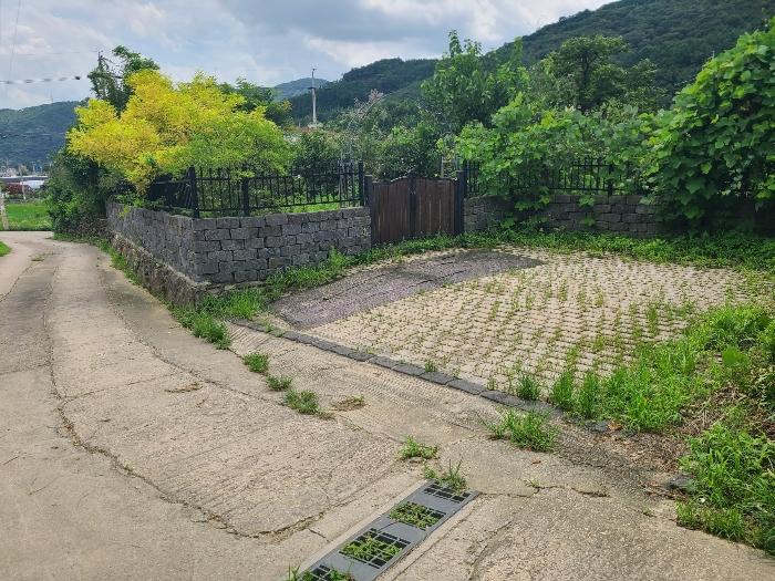 사진 03