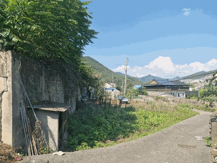 사진 08