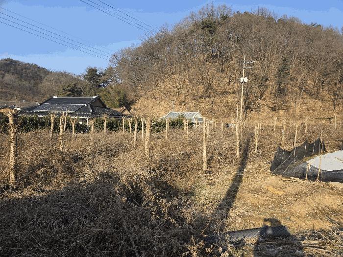 사진 03