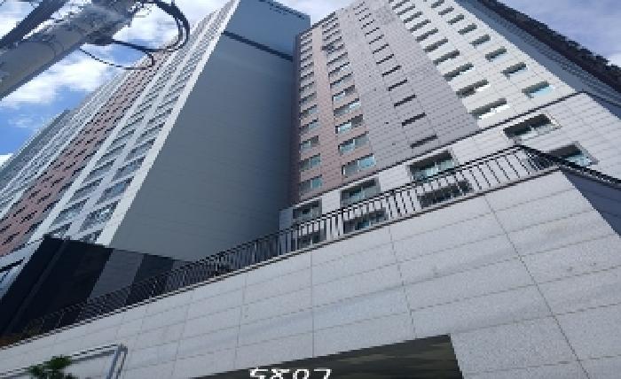 사진 03