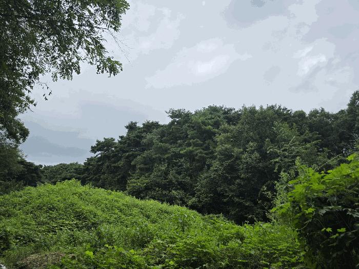 사진 06