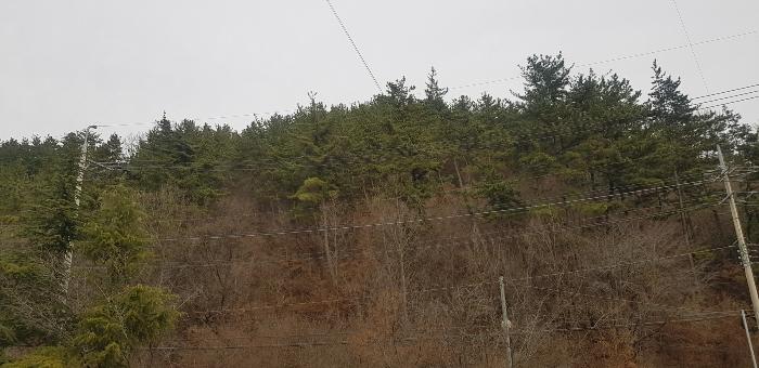 사진 03