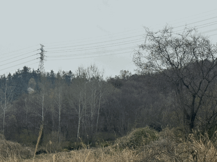 사진 07