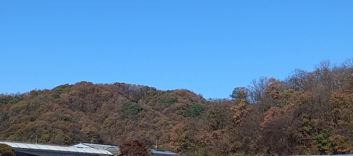 사진 08