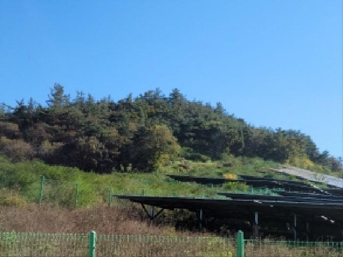 사진 04
