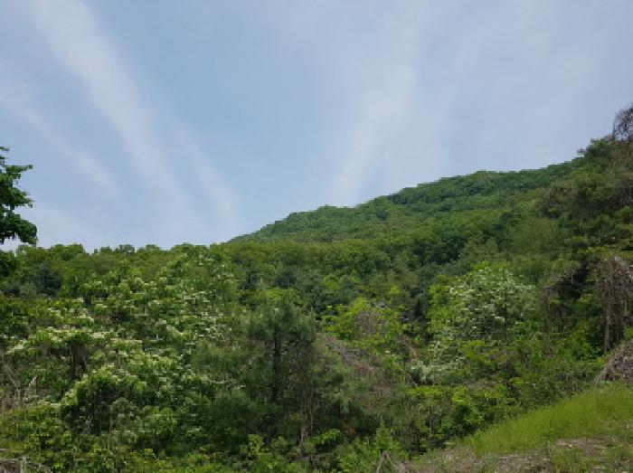 사진 02
