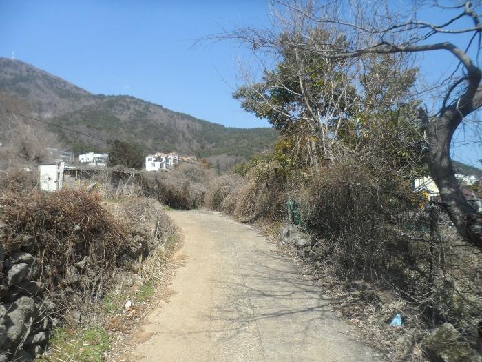 사진 02