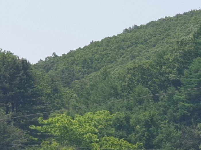 사진 07