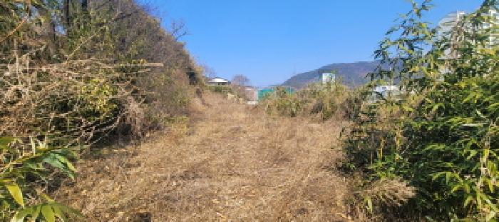 사진 04