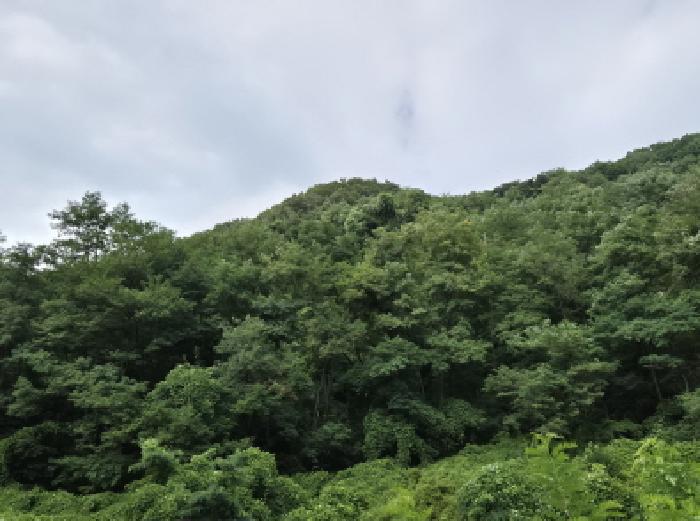 사진 08