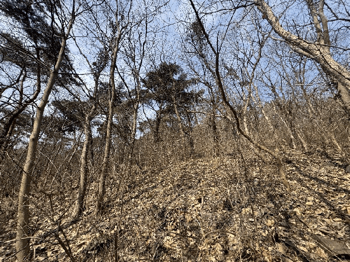 사진 05
