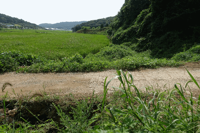 사진 08
