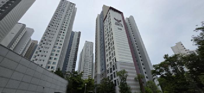 사진 06