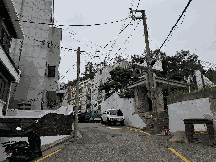 사진 08