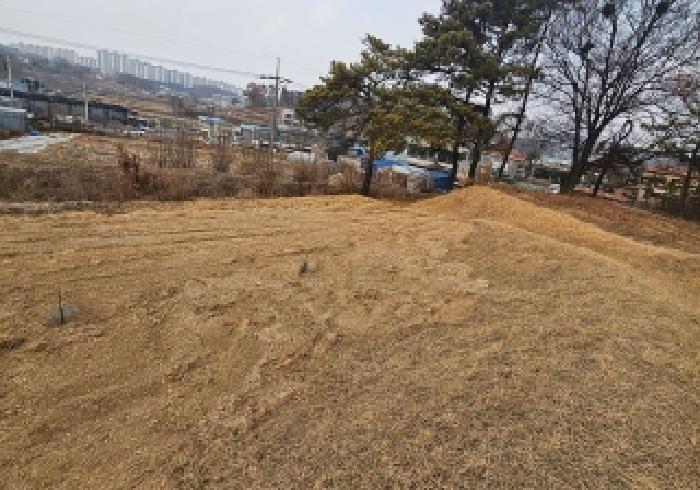 사진 03