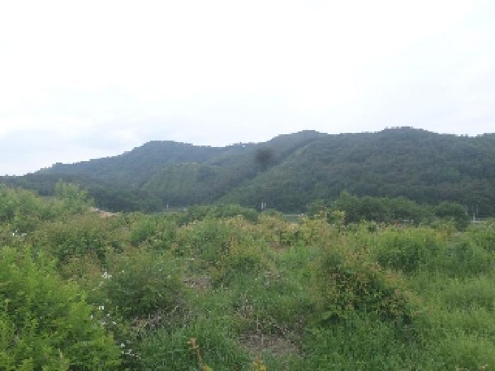 사진 08