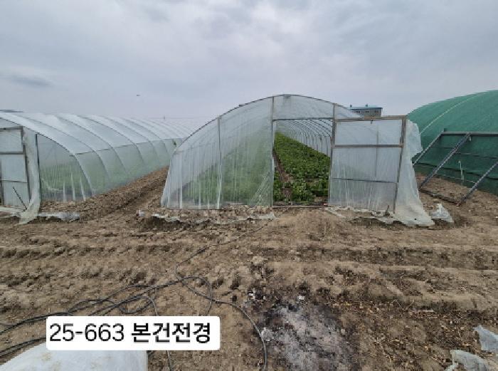 사진 08