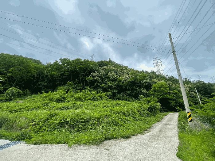 사진 08