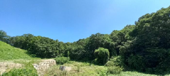 사진 04