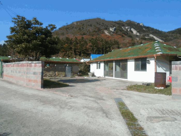 사진 01