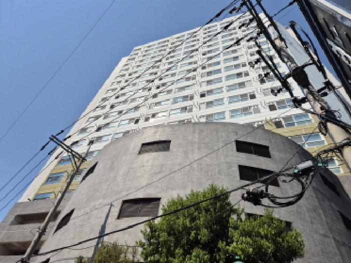 사진 02