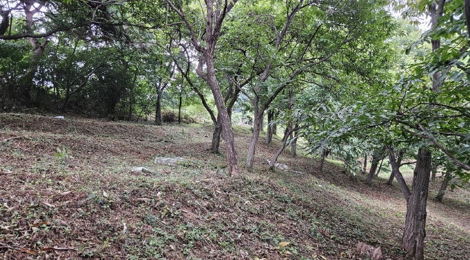 사진 03