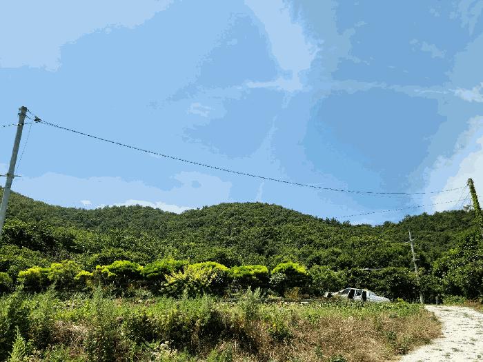 사진 08