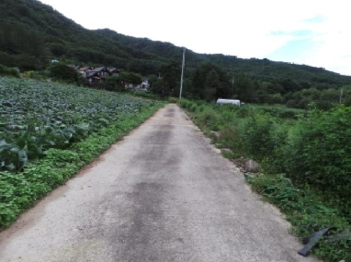 사진 06