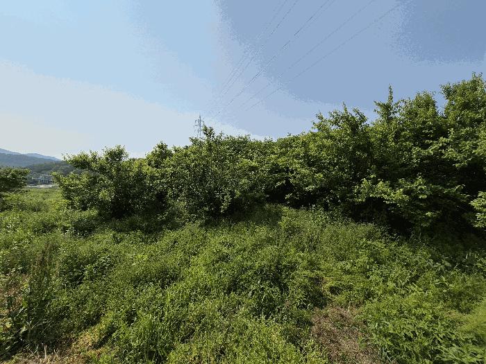 사진 05