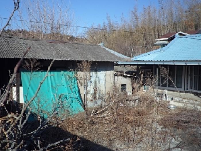 사진 08