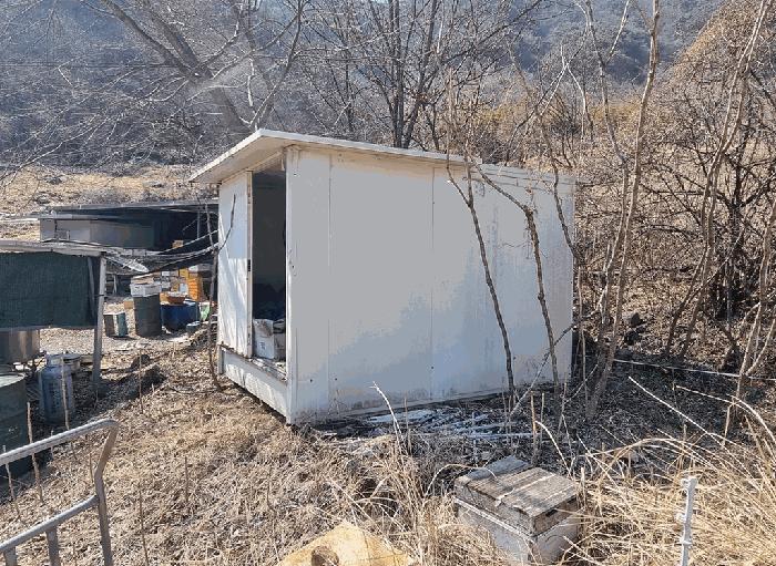 사진 03