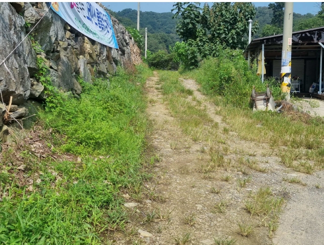 사진 08
