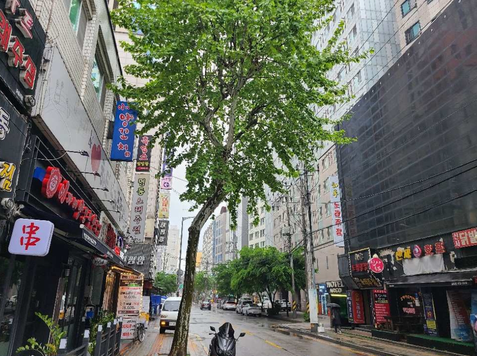 사진 08