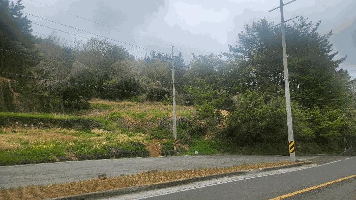 사진 06