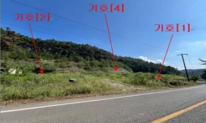 사진 01