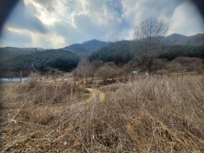 사진 06