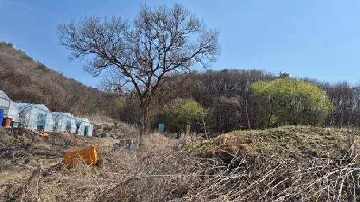 사진 06