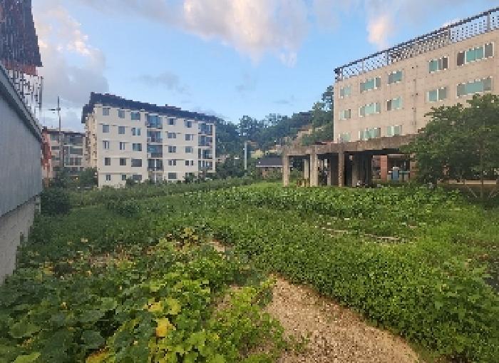 사진 06